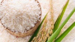 Top Rice Exporters in the World